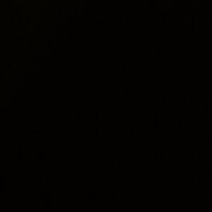 Meet your Posher, Calisa